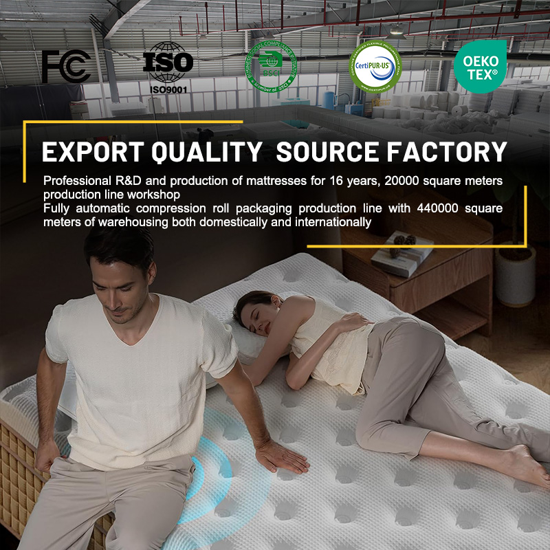 Colchão HOMEMATE de 14 polegad - Memory Foam Mattress In A Box Queen avaliação e preço